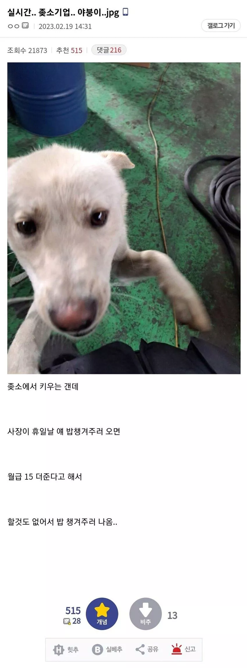 본문 이미지